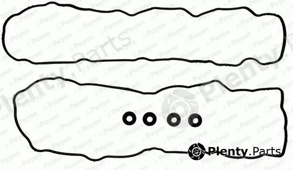 Payen HM5365 — Gasket Set, cylinder head cover