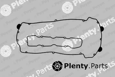 Payen HM5070 — Gasket Set, cylinder head cover