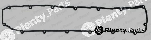 Payen JM7146 — Gasket, cylinder head cover