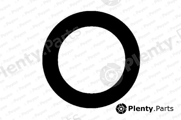 Payen PA459 — Gasket, intake manifold