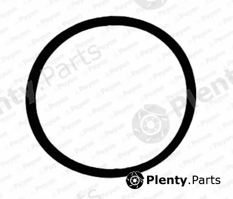 Payen JD6105 — Gasket, intake manifold