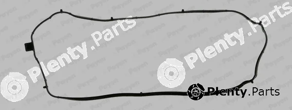 Payen JM7125 — Gasket, cylinder head cover
