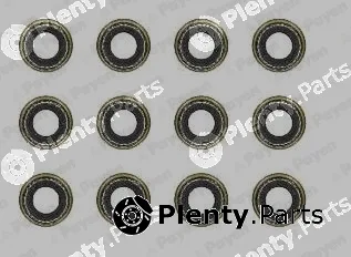 Payen HR5144 — Seal Set, valve stem