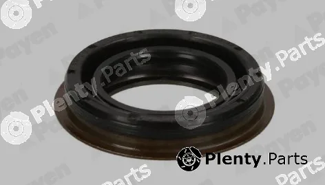 Payen NA5508 — Shaft Seal, differential