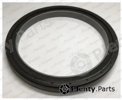 Payen NA5354 — Shaft Seal, crankshaft