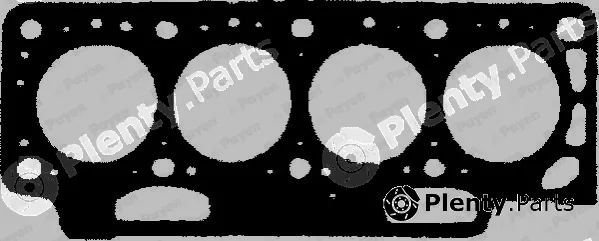 Payen BS520 — Gasket, cylinder head