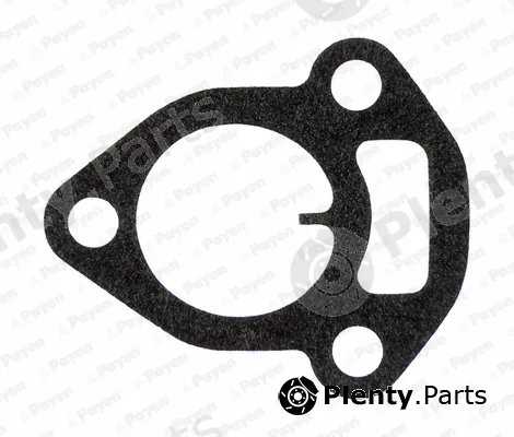 Payen JC140 — Gasket, intake manifold