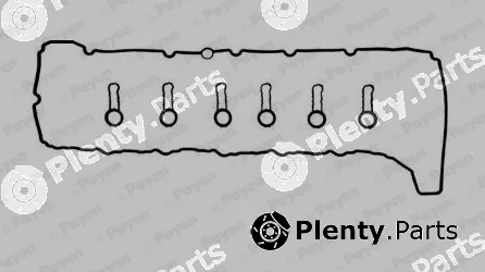 Payen HM5390 — Gasket Set, cylinder head cover