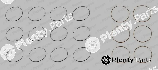Payen HL5003 — O-Ring Set, cylinder sleeve