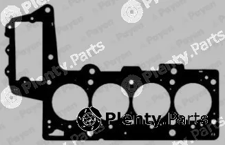 Payen AC5421 — Gasket, cylinder head