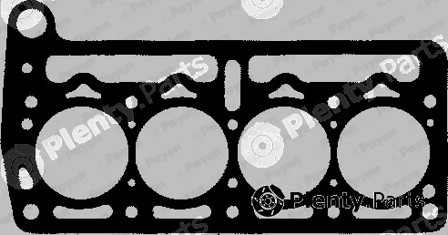 Payen BP510 — Gasket, cylinder head