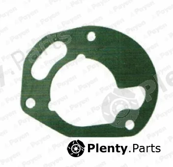 Payen KT756 — Gasket, timing case