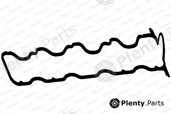 Payen JM5146 — Gasket, cylinder head cover