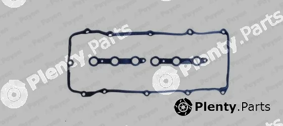 Payen HM5386 — Gasket Set, cylinder head cover