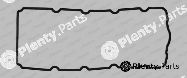 Payen JM5119 — Gasket, cylinder head cover