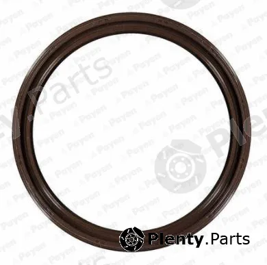 Payen NK169 — Shaft Seal, crankshaft