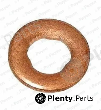 Payen KG5374 — Heat Shield, injection system