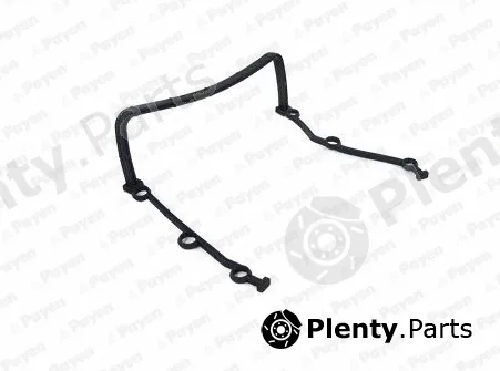 Payen JR5044 — Gasket, timing case