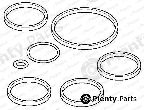 Payen HA5053 — Gasket Set, intake manifold