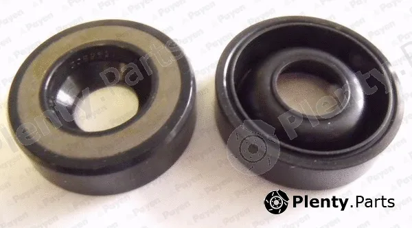 Payen NB077 — Seal Ring, injector