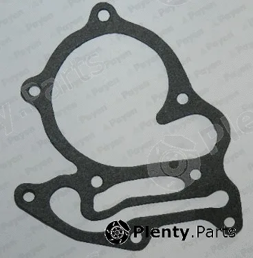 Payen KL478 — Gasket, water pump