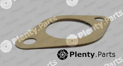 Payen LT023 — Gasket, water pump
