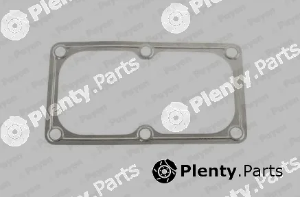 Payen JD5939 — Gasket, intake manifold