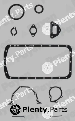 Payen EL890 — Gasket Kit, crankcase
