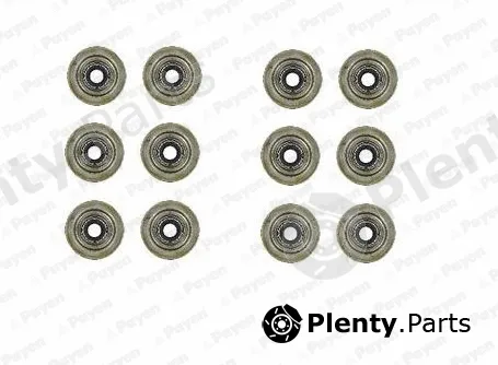 Payen HR5031 — Seal Set, valve stem