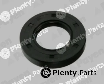 Payen NJ441 — Shaft Seal, differential