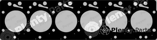 Payen BW530 — Gasket, cylinder head