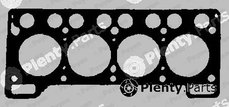 Payen BT080 — Gasket, cylinder head