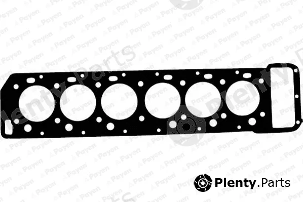 Payen BE880 — Gasket, cylinder head