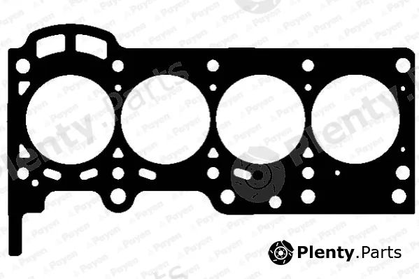 Payen AG9830 — Gasket, cylinder head