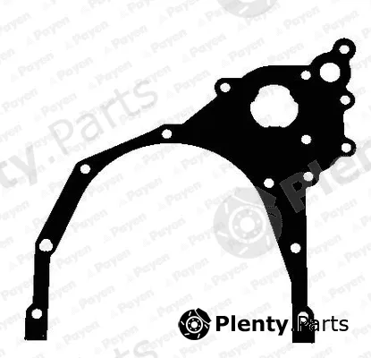Payen JR5050 — Gasket, timing case
