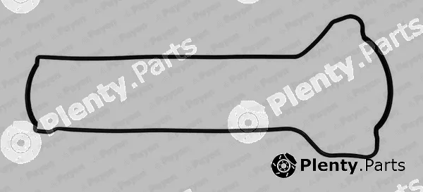 Payen JM5288 — Gasket, cylinder head cover