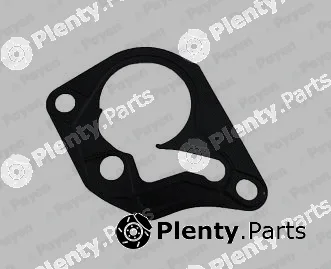 Payen KK5643 — Gasket, vacuum pump