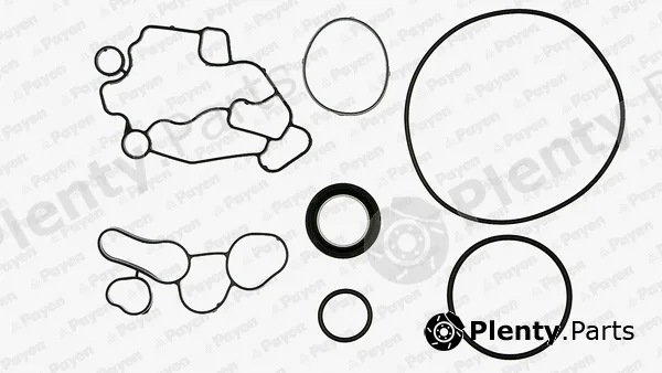 Payen EG9600 — Gasket Kit, crankcase