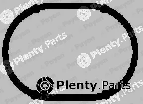 Payen JD607 — Gasket, intake manifold