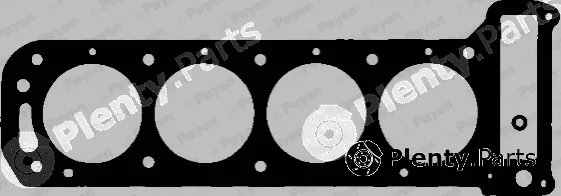 Payen BK020 — Gasket, cylinder head