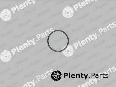 Payen JE231 — Gasket, exhaust pipe