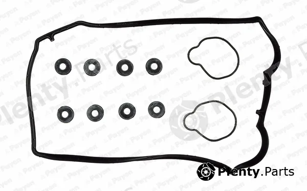 Payen HM5254 — Gasket Set, cylinder head cover