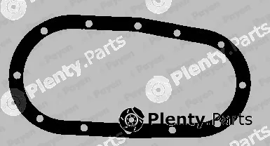 Payen LV847 — Gasket, timing case cover