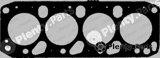 Payen BW011 — Gasket, cylinder head