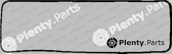 Payen JN248 — Gasket, cylinder head cover