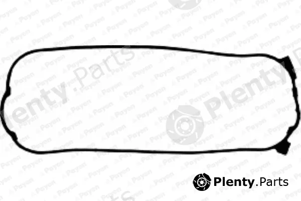 Payen JM5046 — Gasket, cylinder head cover