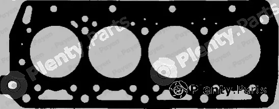 Payen BG900 — Gasket, cylinder head