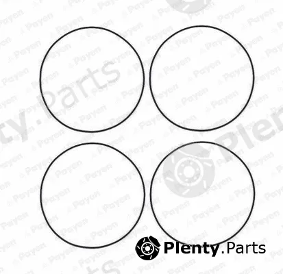 Payen HR566 — O-Ring Set, cylinder sleeve