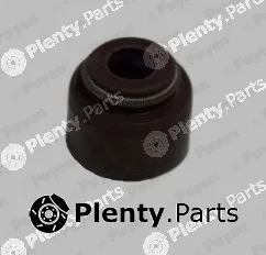 Payen PB355 — Seal Ring, valve stem