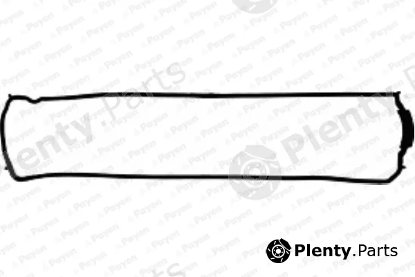 Payen JM5016 — Gasket, cylinder head cover